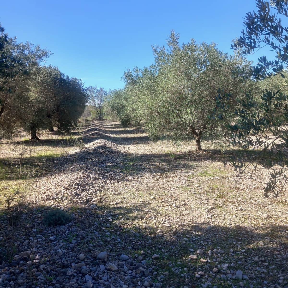 3 slaapkamer Villa te koop in Santa Barbara - € 140.000 (Ref: 9347270)