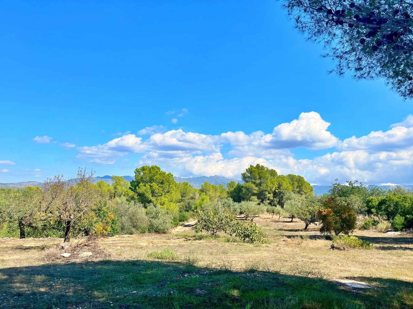 1 camera da letto Finca/Casa di Campagna in vendita in Aldover - 55.000 € (Rif: 9349461)