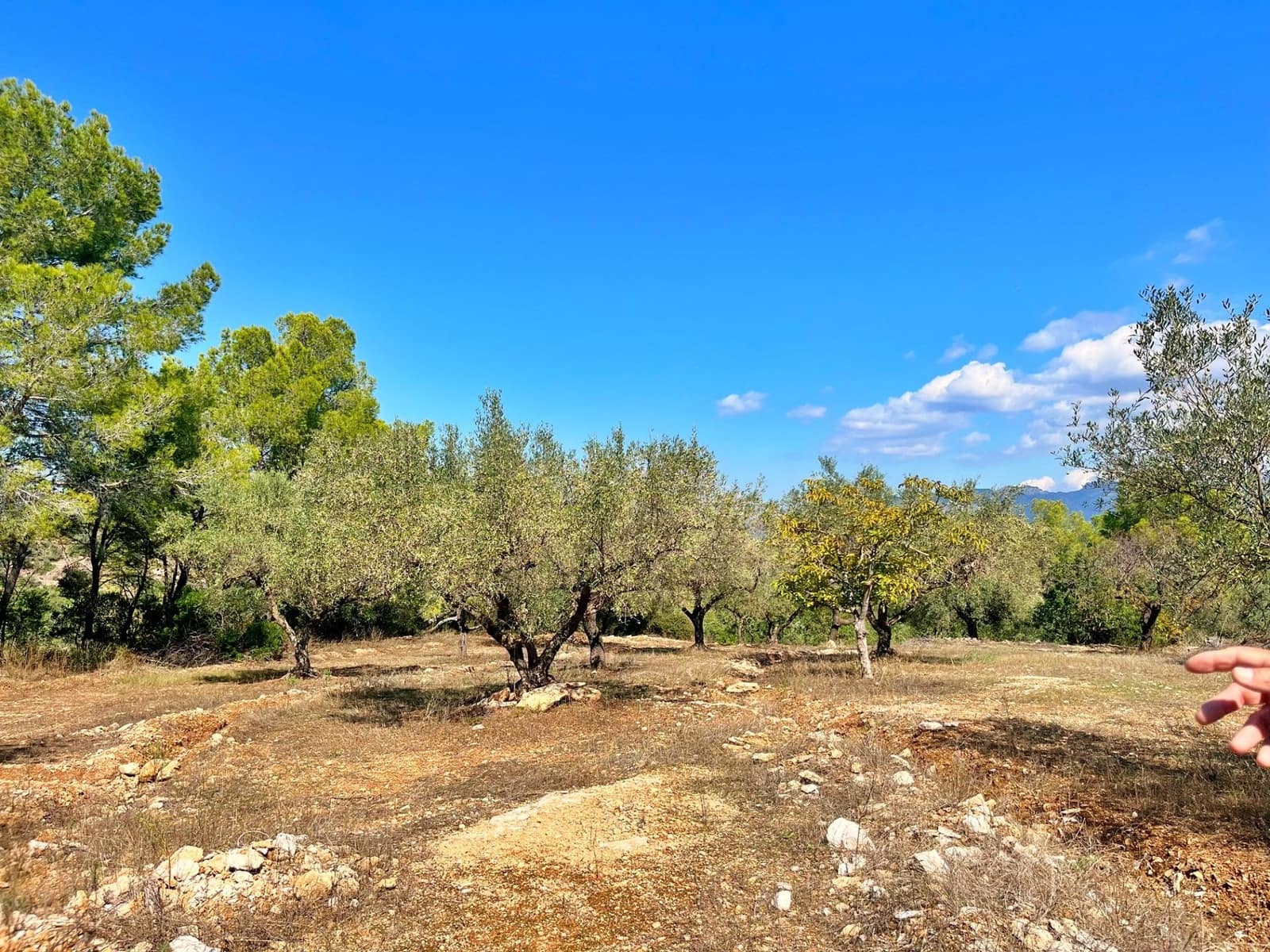 1 camera da letto Finca/Casa di Campagna in vendita in Aldover - 55.000 € (Rif: 9349461)