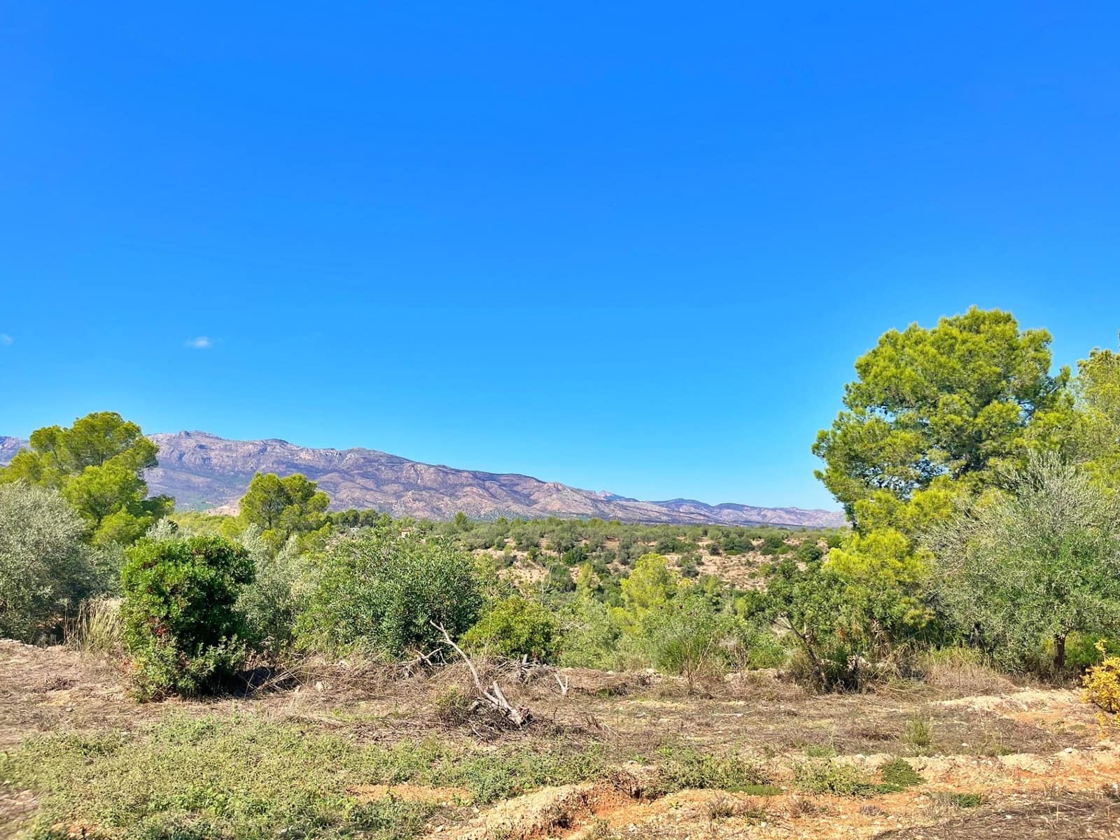 1 camera da letto Finca/Casa di Campagna in vendita in Aldover - 55.000 € (Rif: 9349461)