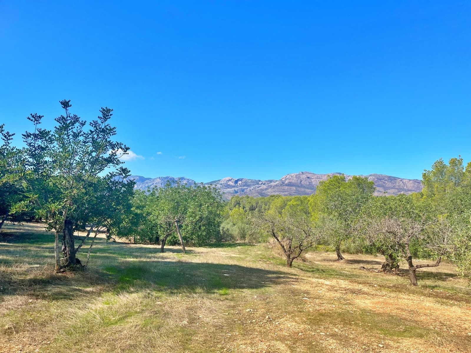 1 camera da letto Finca/Casa di Campagna in vendita in Aldover - 55.000 € (Rif: 9349461)