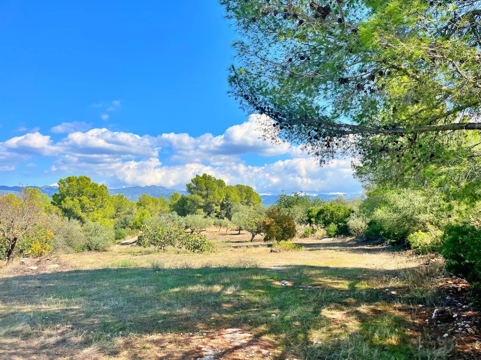 1 camera da letto Finca/Casa di Campagna in vendita in Aldover - 55.000 € (Rif: 9349461)