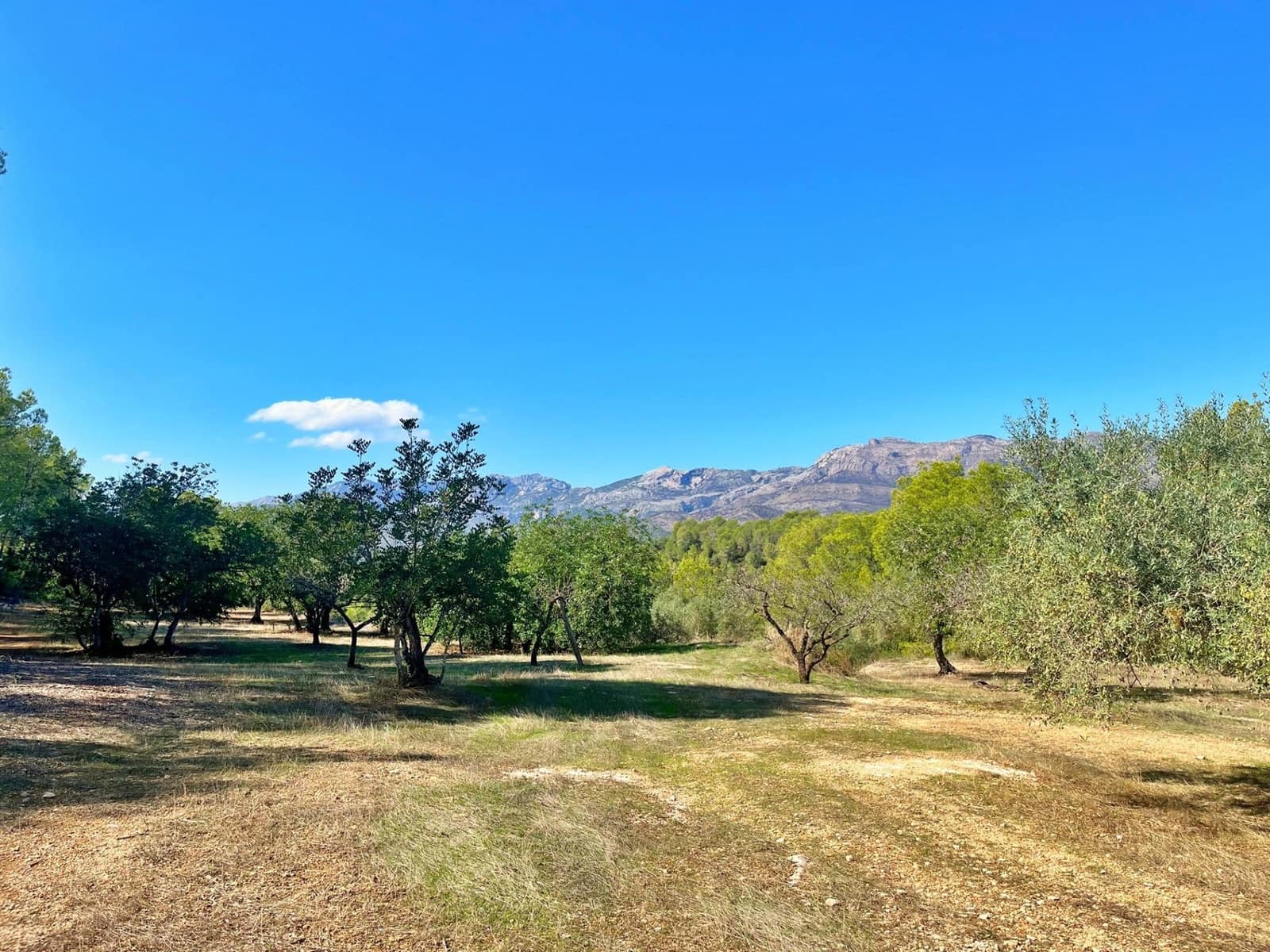 1 camera da letto Finca/Casa di Campagna in vendita in Aldover - 55.000 € (Rif: 9349461)