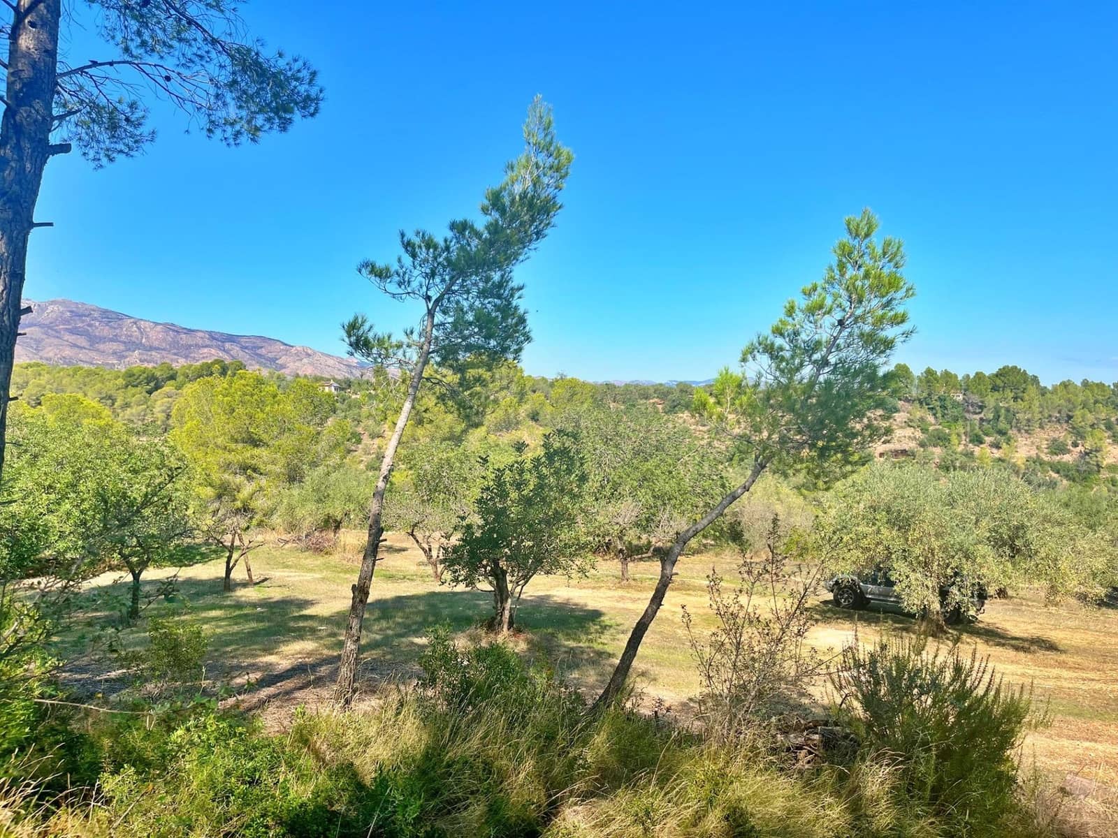 1 camera da letto Finca/Casa di Campagna in vendita in Aldover - 55.000 € (Rif: 9349461)