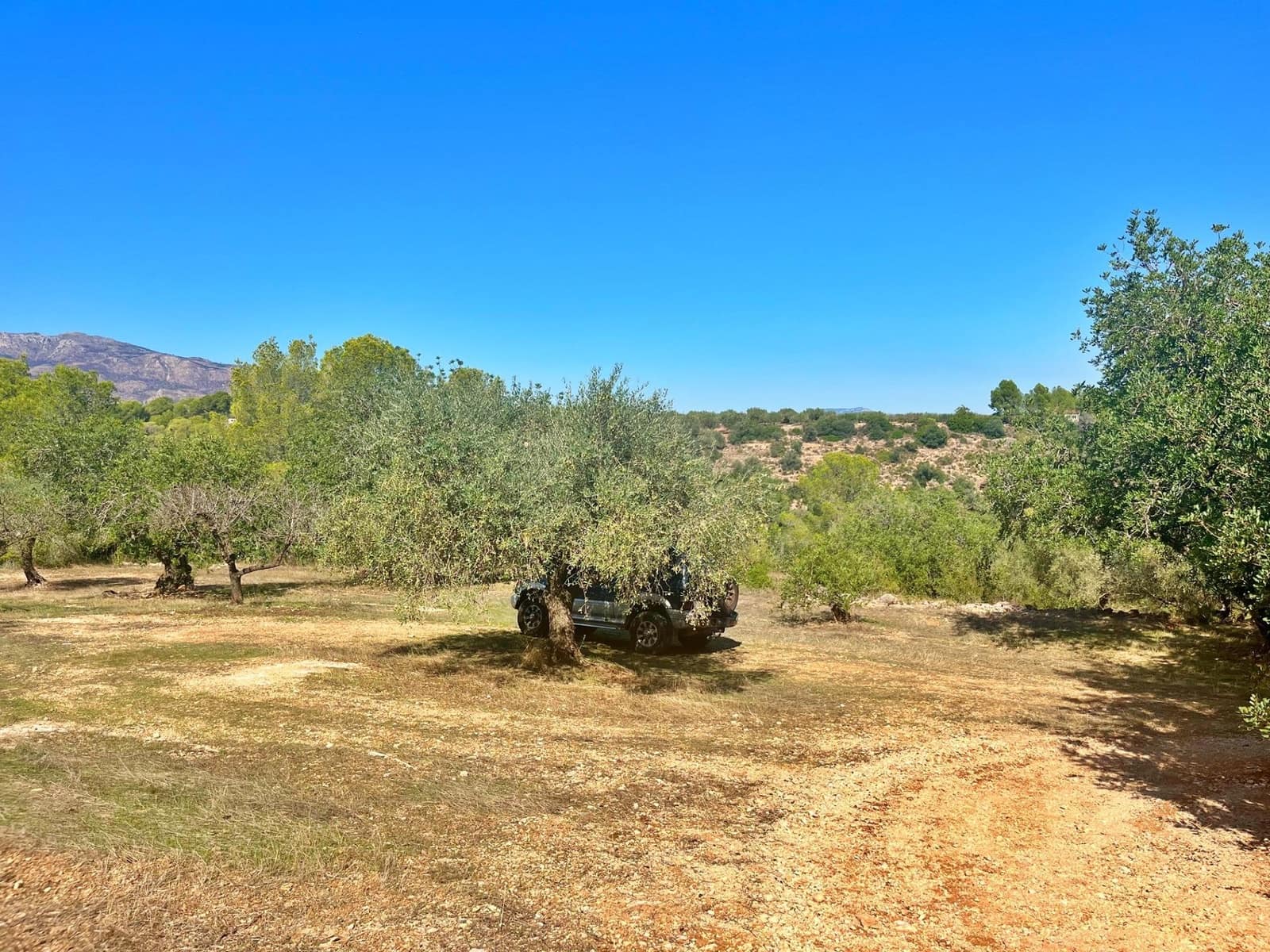 1 camera da letto Finca/Casa di Campagna in vendita in Aldover - 55.000 € (Rif: 9349461)