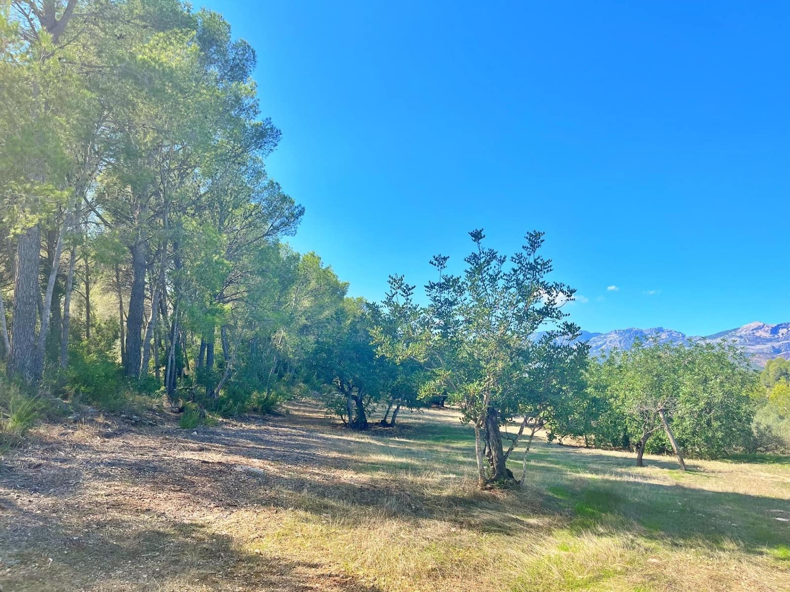 1 camera da letto Finca/Casa di Campagna in vendita in Aldover - 55.000 € (Rif: 9349461)