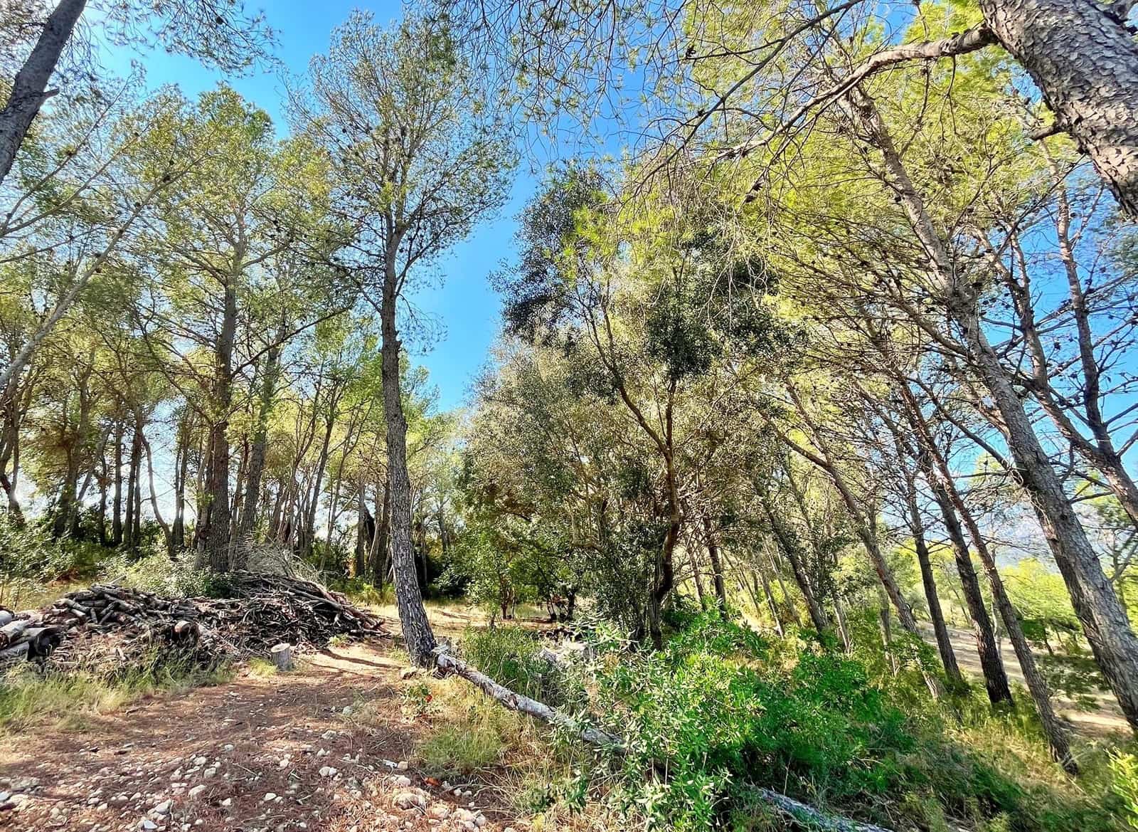 1 camera da letto Finca/Casa di Campagna in vendita in Aldover - 55.000 € (Rif: 9349461)