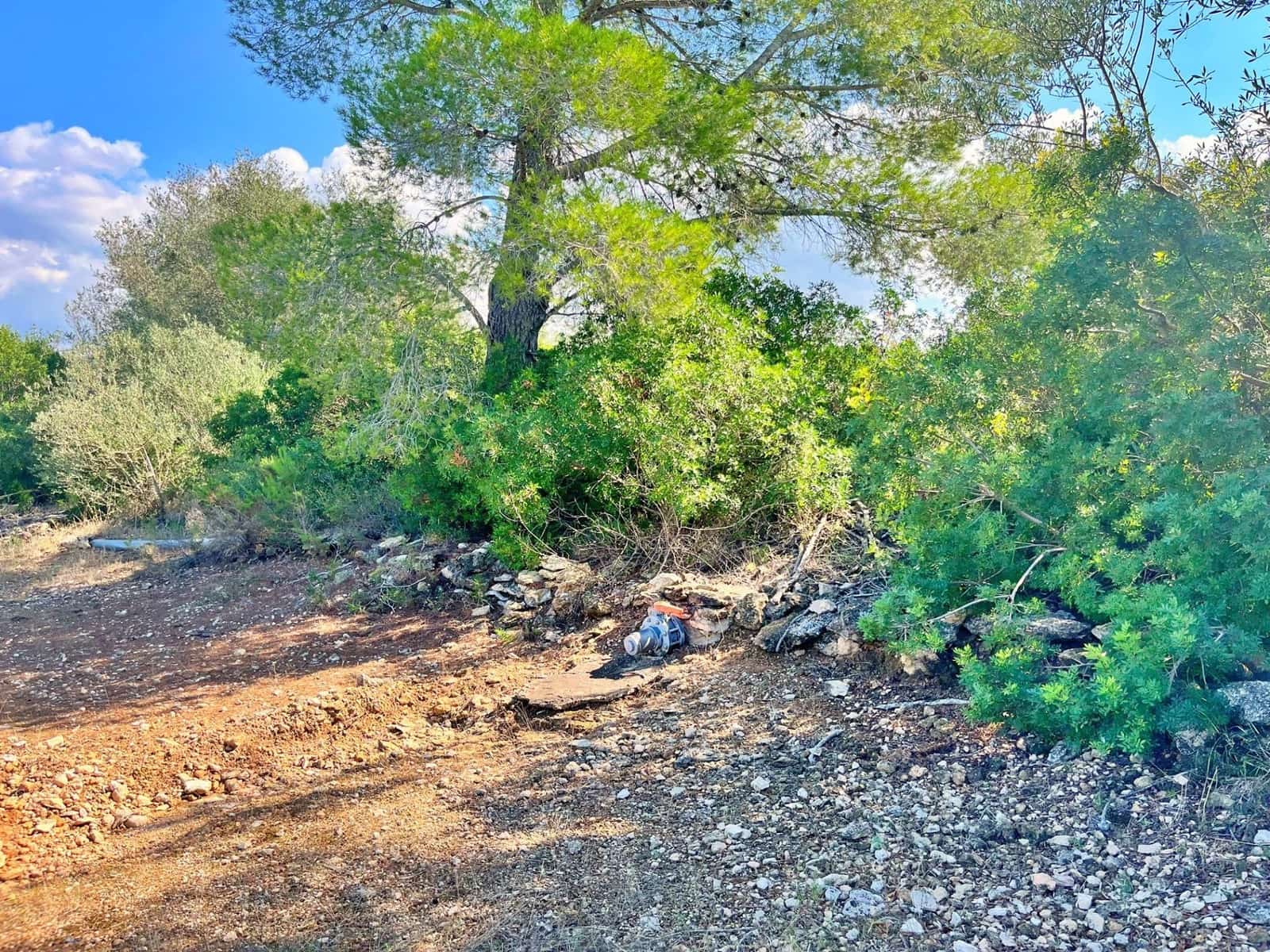 1 camera da letto Finca/Casa di Campagna in vendita in Aldover - 55.000 € (Rif: 9349461)