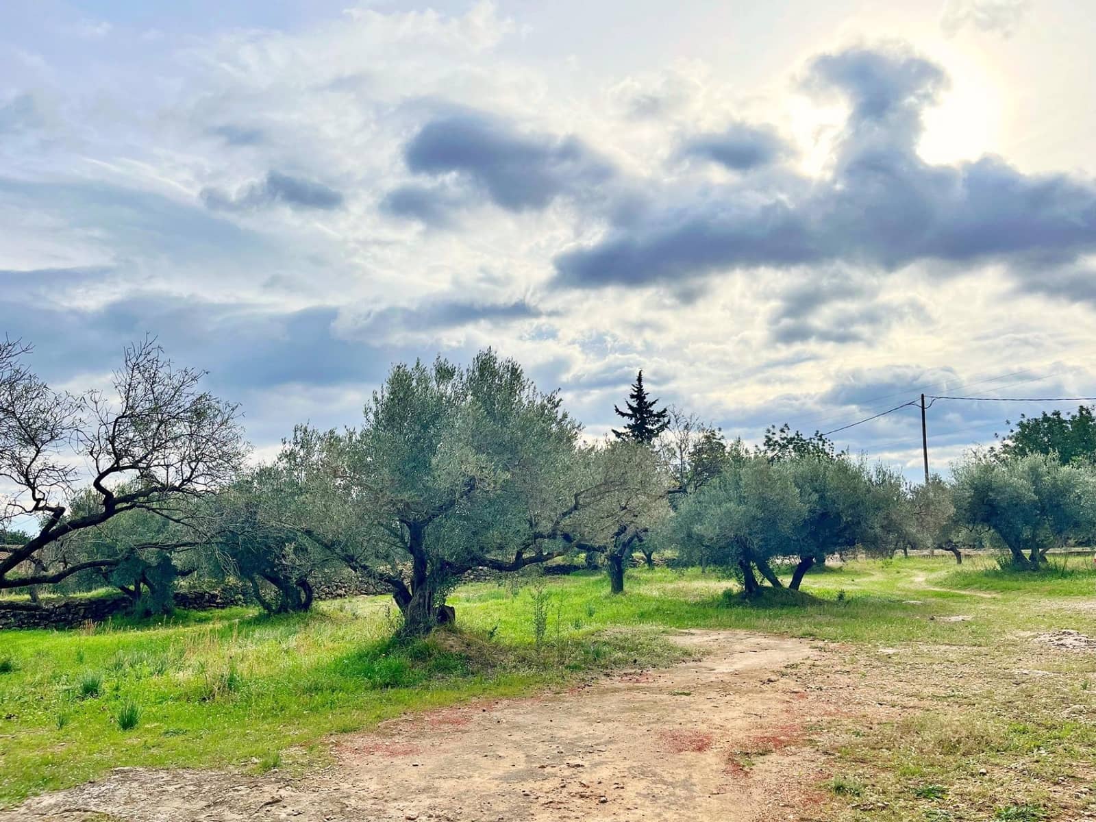 2 slaapkamer Villa te koop in Roquetes - € 144.000 (Ref: 9440017)