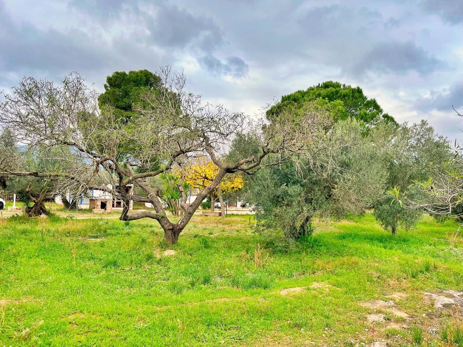 2 slaapkamer Villa te koop in Roquetes - € 144.000 (Ref: 9440017)