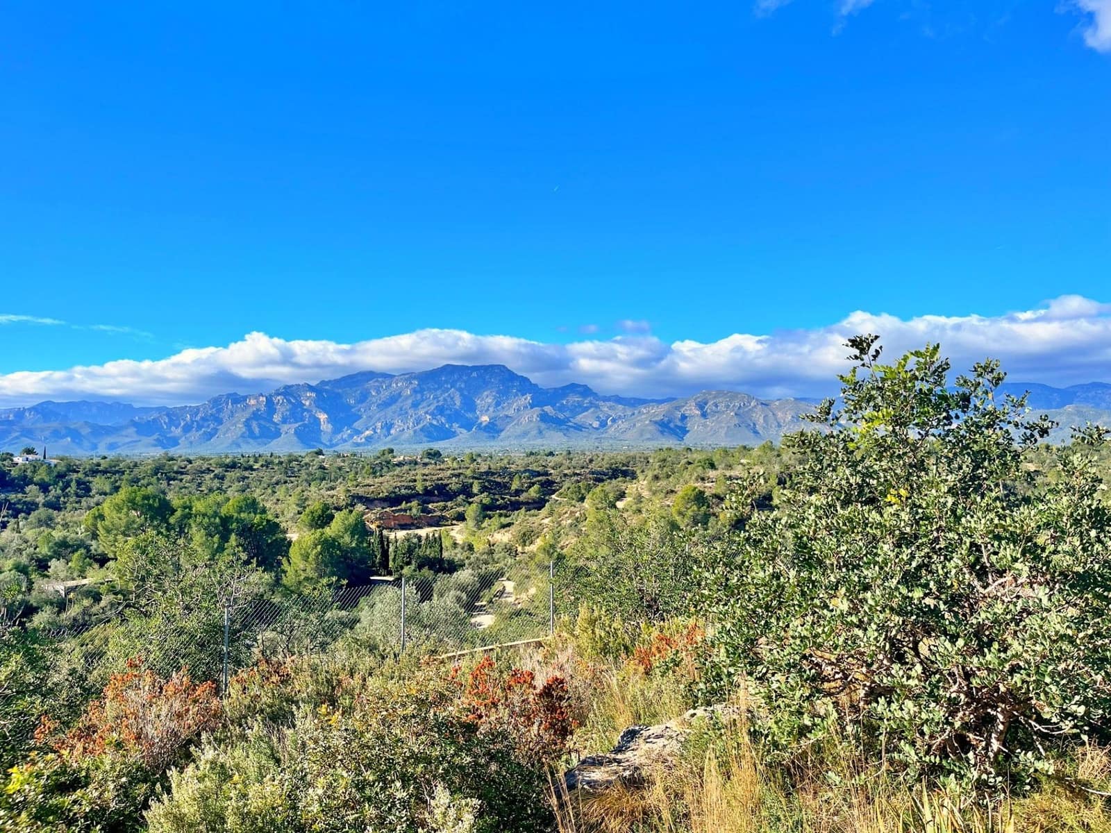 4 soveværelse Villa til salg i Roquetes med swimmingpool - € 285.000 (Ref: 9449008)