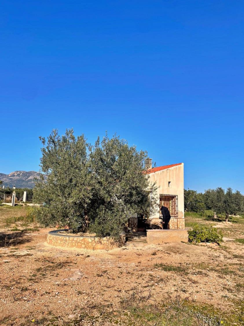 1 camera da letto Finca/Casa di Campagna in vendita in Aldover - 42.500 € (Rif: 9481165)