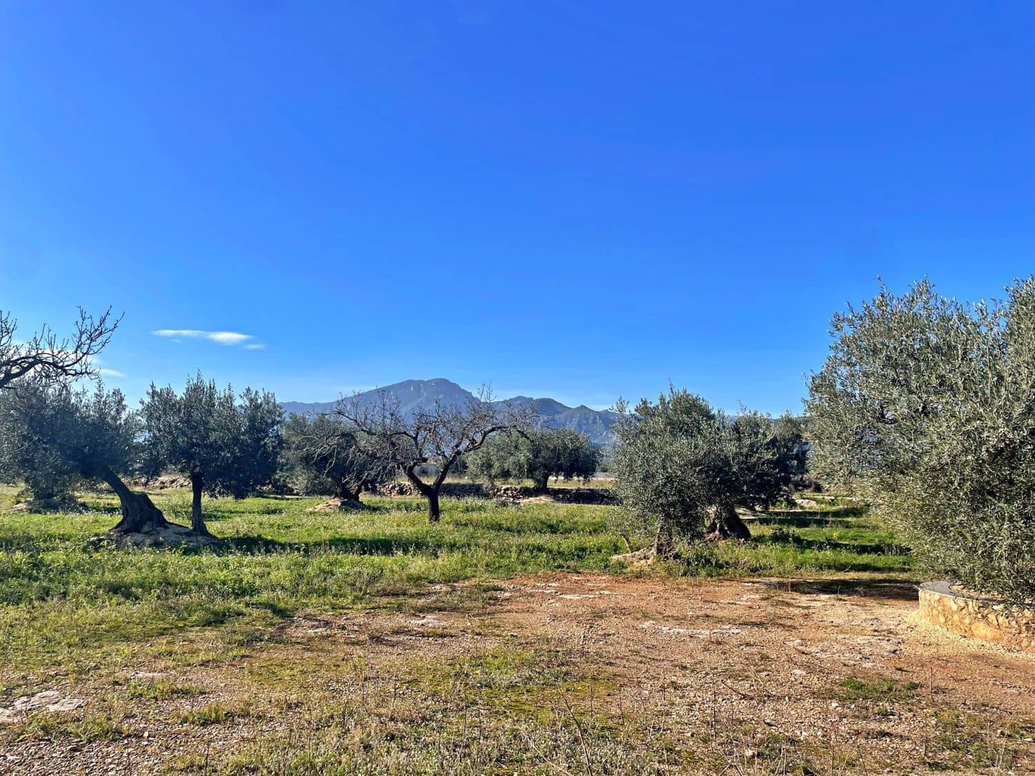 1 camera da letto Finca/Casa di Campagna in vendita in Aldover - 42.500 € (Rif: 9481165)