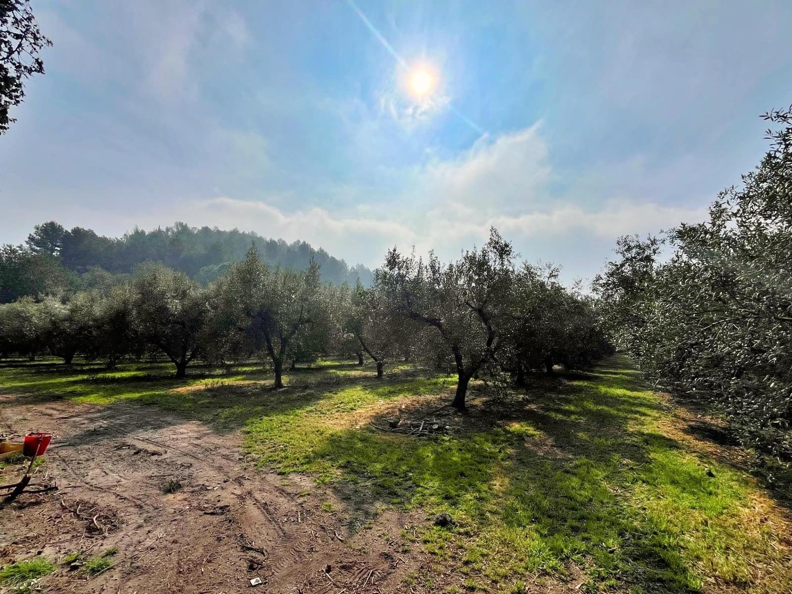 2 bedroom Villa for sale in Tortosa with garage - € 260,000 (Ref: 9481166)