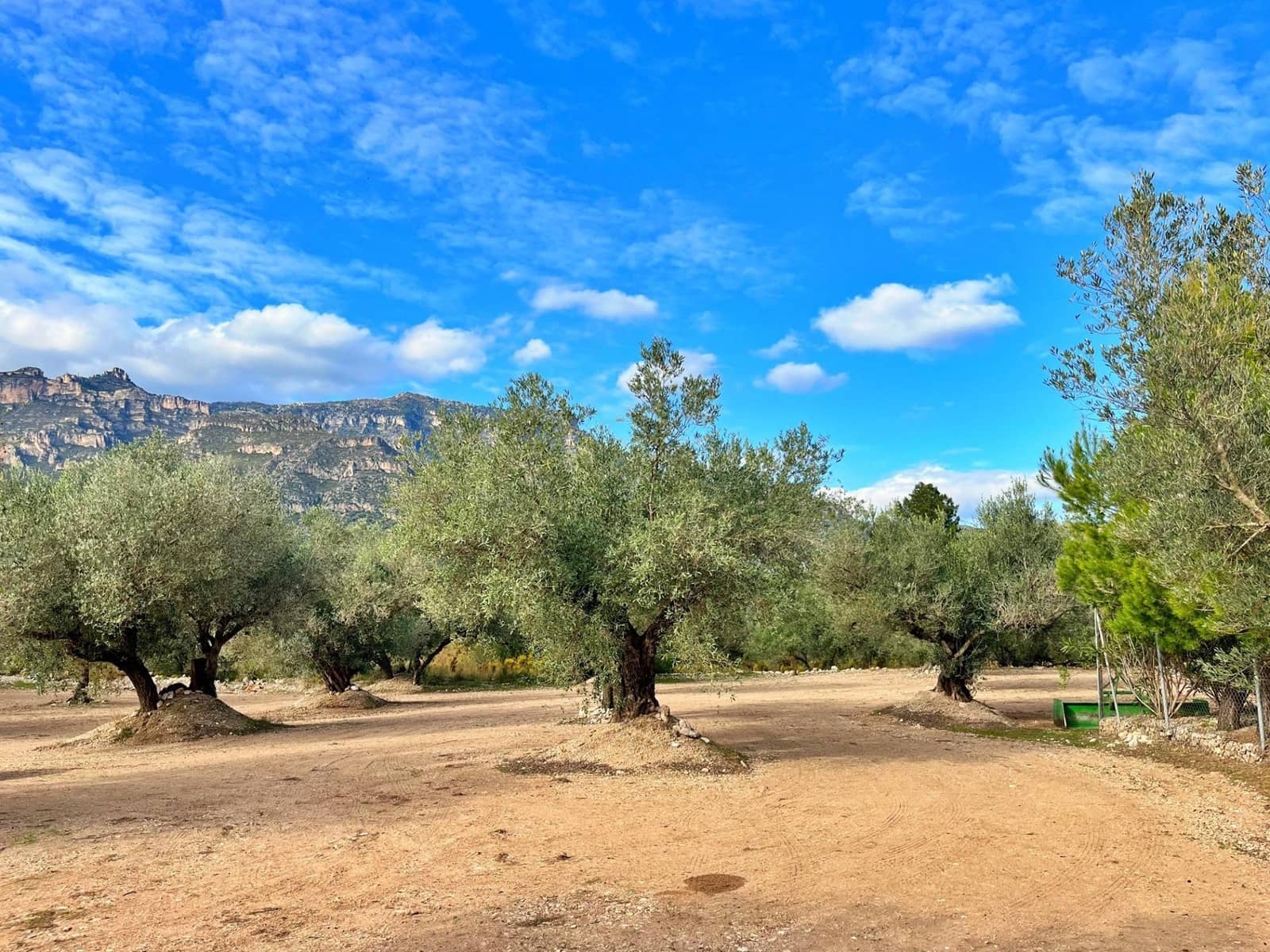 2 soverom Villa til salgs i Roquetes - € 140 000 (Ref: 9481167)