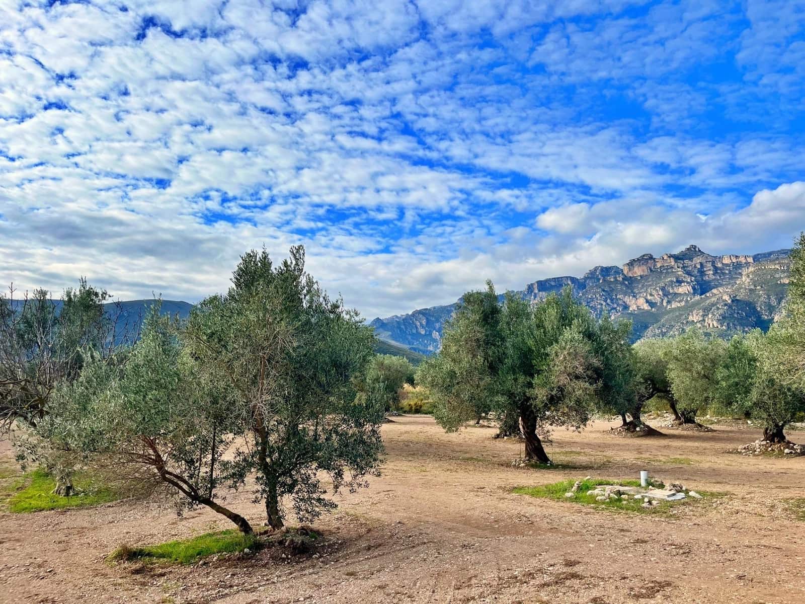 2 soverom Villa til salgs i Roquetes - € 140 000 (Ref: 9481167)