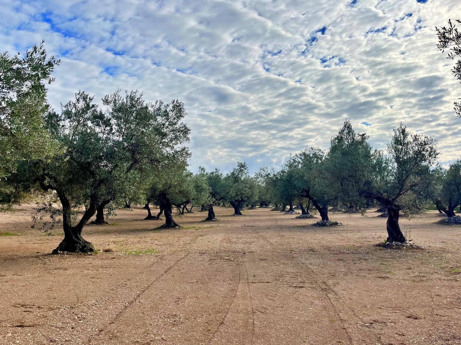 2 soverom Villa til salgs i Roquetes - € 140 000 (Ref: 9481167)