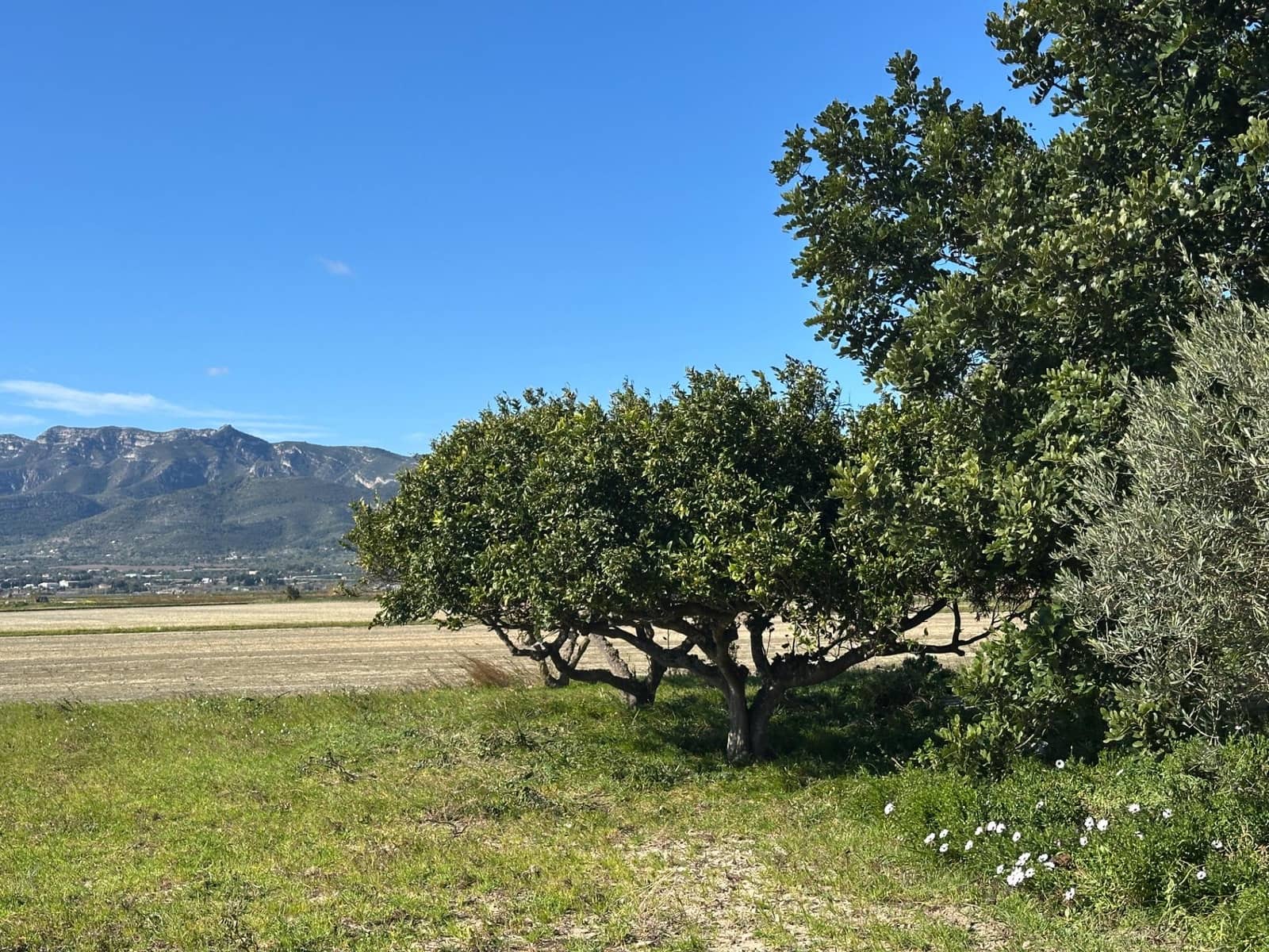 2 soveværelse Finca/Landehus til salg i Sant Carles de la Rapita - € 215.000 (Ref: 9619157)