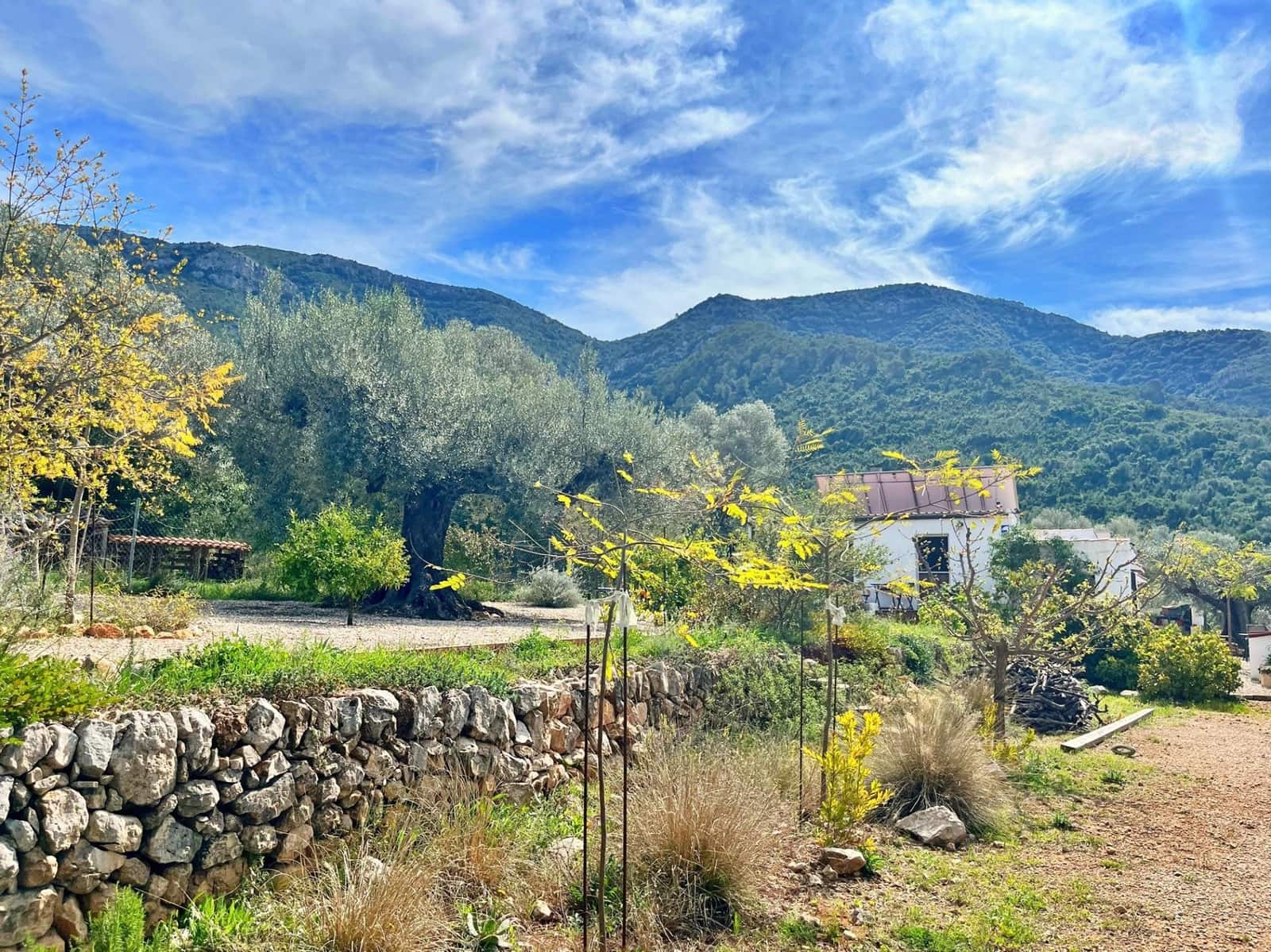 3 bedroom Villa for sale in Freginals - € 186,000 (Ref: 9698788)