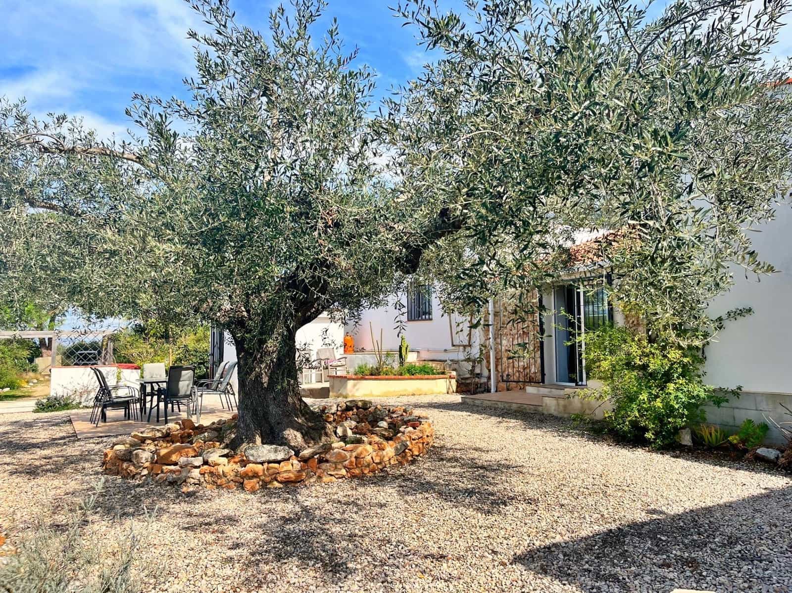 3 bedroom Villa for sale in Freginals - € 186,000 (Ref: 9698788)