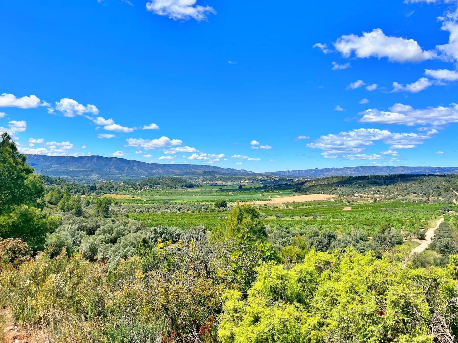 2 quarto Moradia para venda em Flix - 70 000 € (Ref: 9770595)