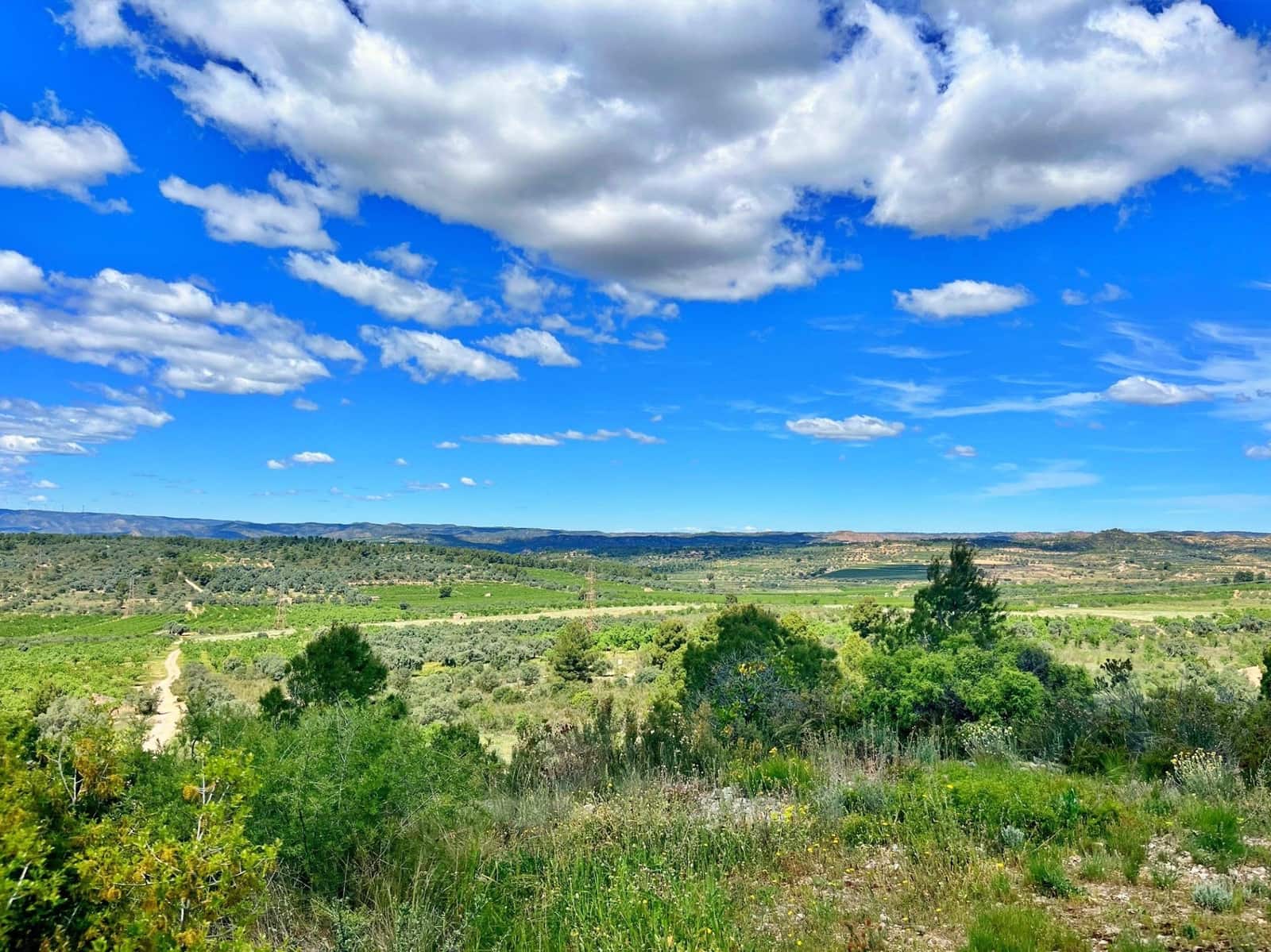 2 quarto Moradia para venda em Flix - 70 000 € (Ref: 9770595)