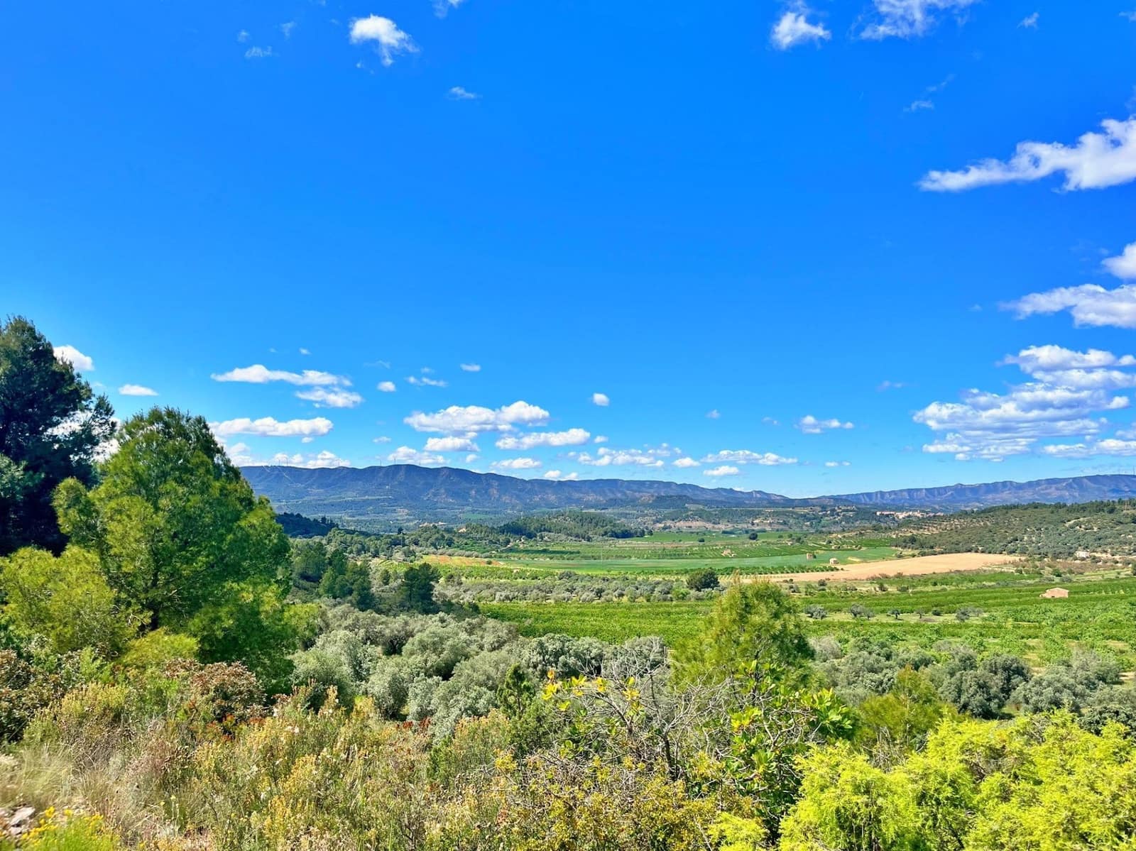 2 quarto Moradia para venda em Flix - 70 000 € (Ref: 9770595)