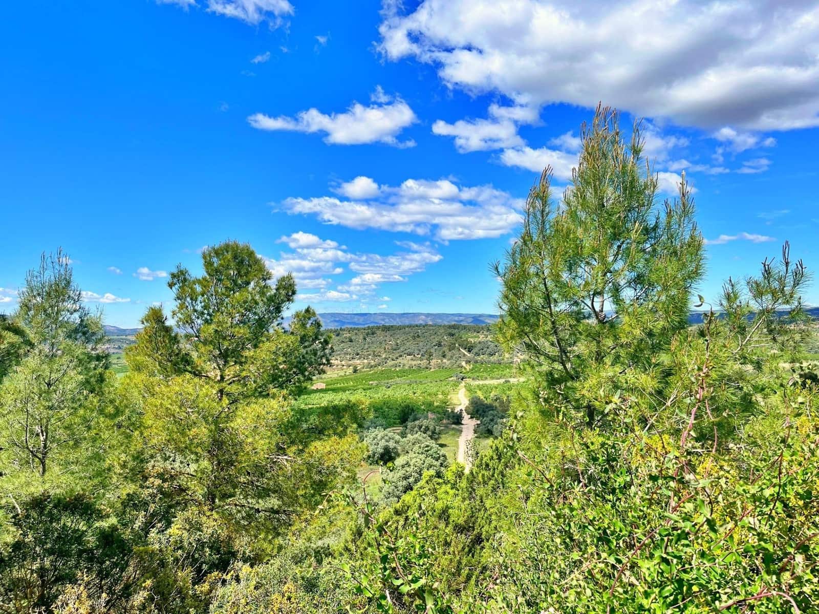 2 quarto Moradia para venda em Flix - 70 000 € (Ref: 9770595)