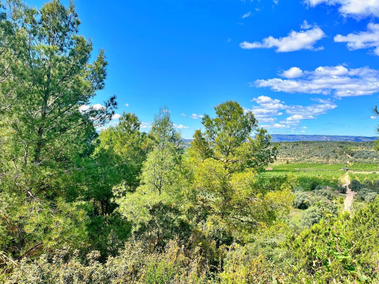 2 quarto Moradia para venda em Flix - 70 000 € (Ref: 9770595)