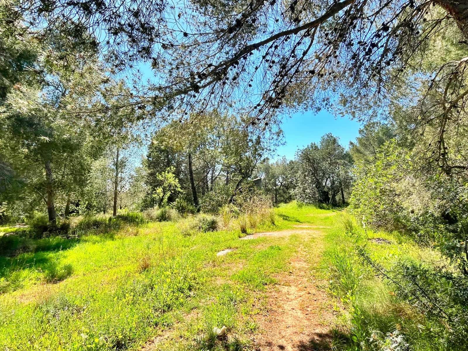 Teren niezagospodarowany na sprzedaż w Roquetes - 140 000 € (Ref: 9772994)