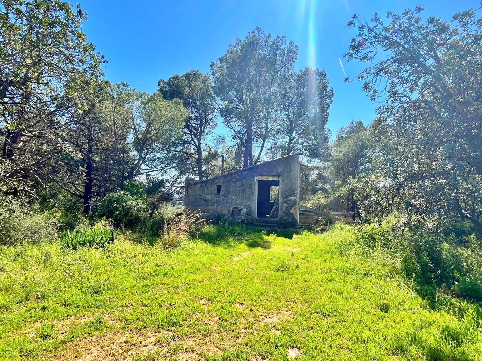 Teren niezagospodarowany na sprzedaż w Roquetes - 140 000 € (Ref: 9772994)