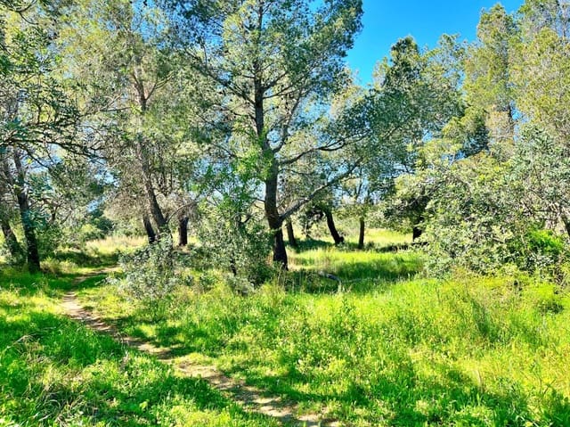 Rakentamaton maa myytävänä paikassa Roquetes - 140 000 € (Ref: 9772994)