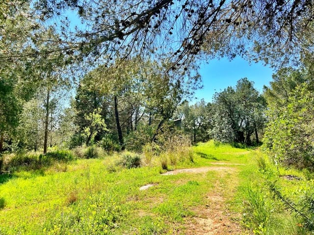 Rakentamaton maa myytävänä paikassa Roquetes - 140 000 € (Ref: 9772994)