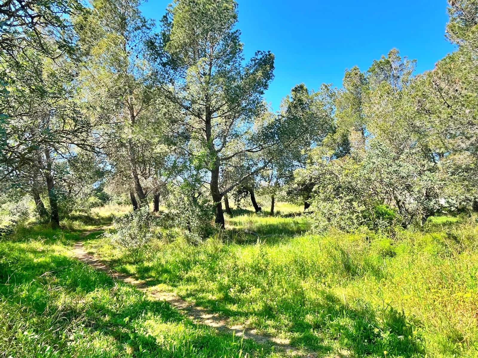 Teren niezagospodarowany na sprzedaż w Roquetes - 140 000 € (Ref: 9772994)