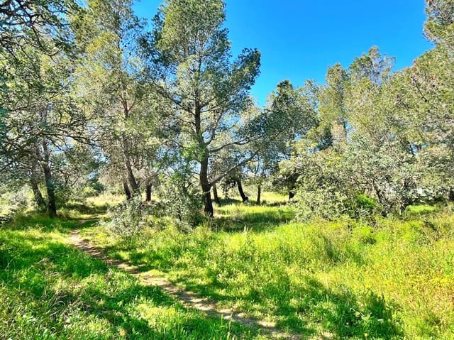 Rakentamaton maa myytävänä paikassa Roquetes - 140 000 € (Ref: 9772994)