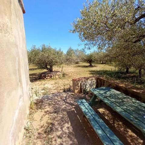 1 chambre Finca/Maison de Campagne à vendre à Roquetes - 38 000 € (Ref: 9831303)