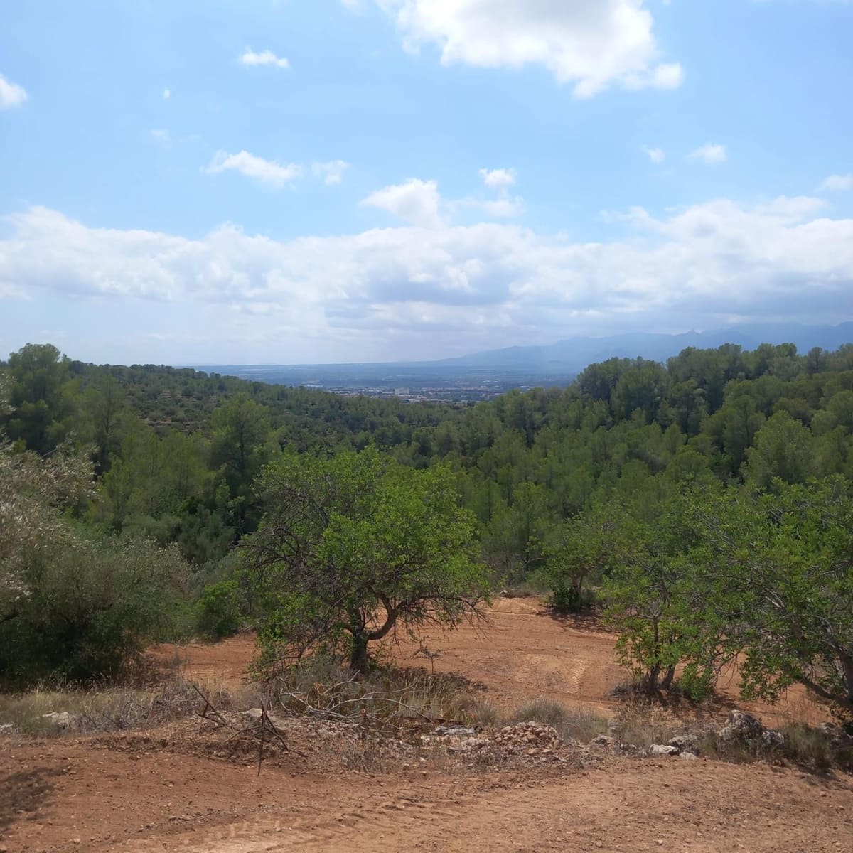 Ubebygd land til salgs i Bitem - € 40 000 (Ref: 9839167)