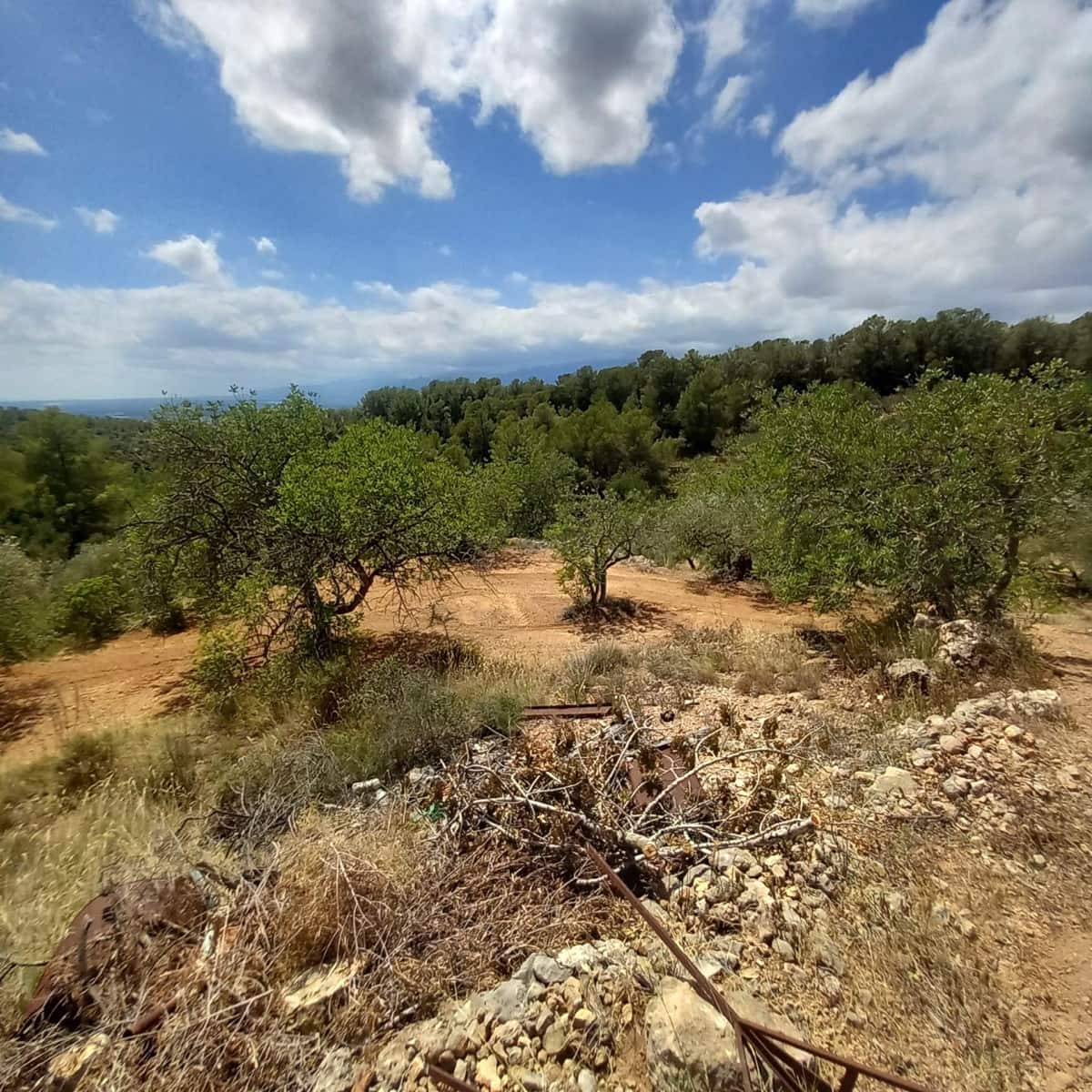 Ubebygd land til salgs i Bitem - € 40 000 (Ref: 9839167)