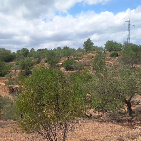 Ubebygd land til salgs i Bitem, Tortosa - € 40 000 (Ref: 9839167)