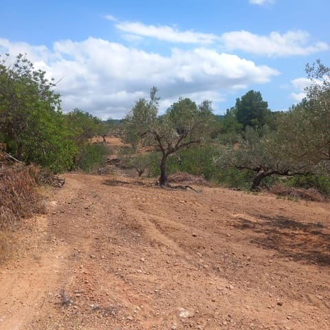 Ubebygd land til salgs i Bitem, Tortosa - € 40 000 (Ref: 9839167)