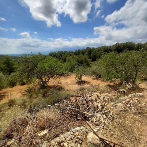 Ubebygd land til salgs i Bitem, Tortosa - € 40 000 (Ref: 9839167)