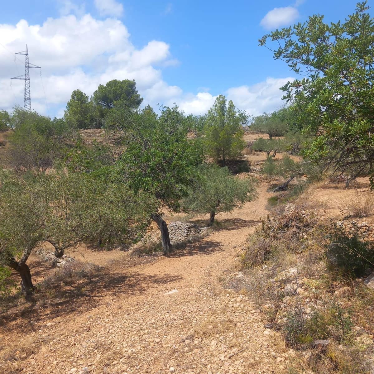 Ubebygd land til salgs i Bitem - € 40 000 (Ref: 9839167)