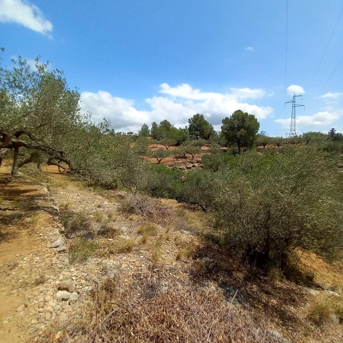 Ubebygd land til salgs i Bitem - € 40 000 (Ref: 9839167)