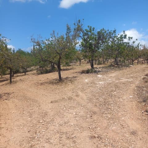Ubebygd land til salgs i Bitem, Tortosa - € 40 000 (Ref: 9839167)