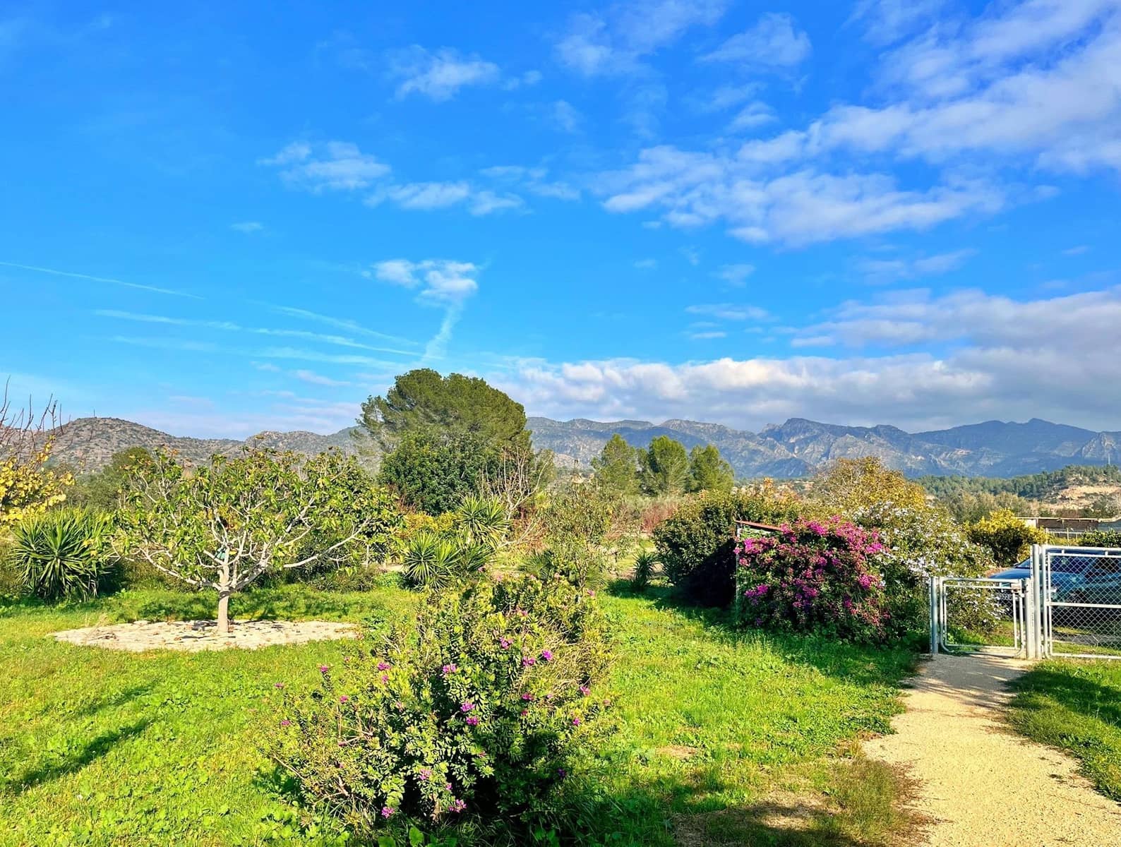 1 camera da letto Villa in vendita in Xerta - 115.000 € (Rif: 9843343)