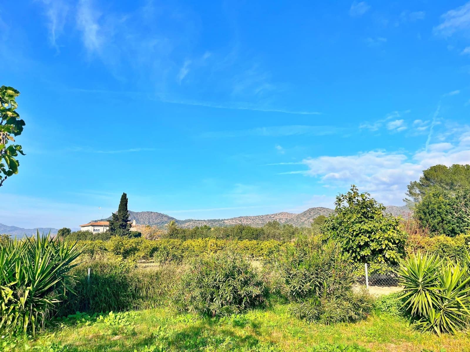 1 camera da letto Villa in vendita in Xerta - 115.000 € (Rif: 9843343)