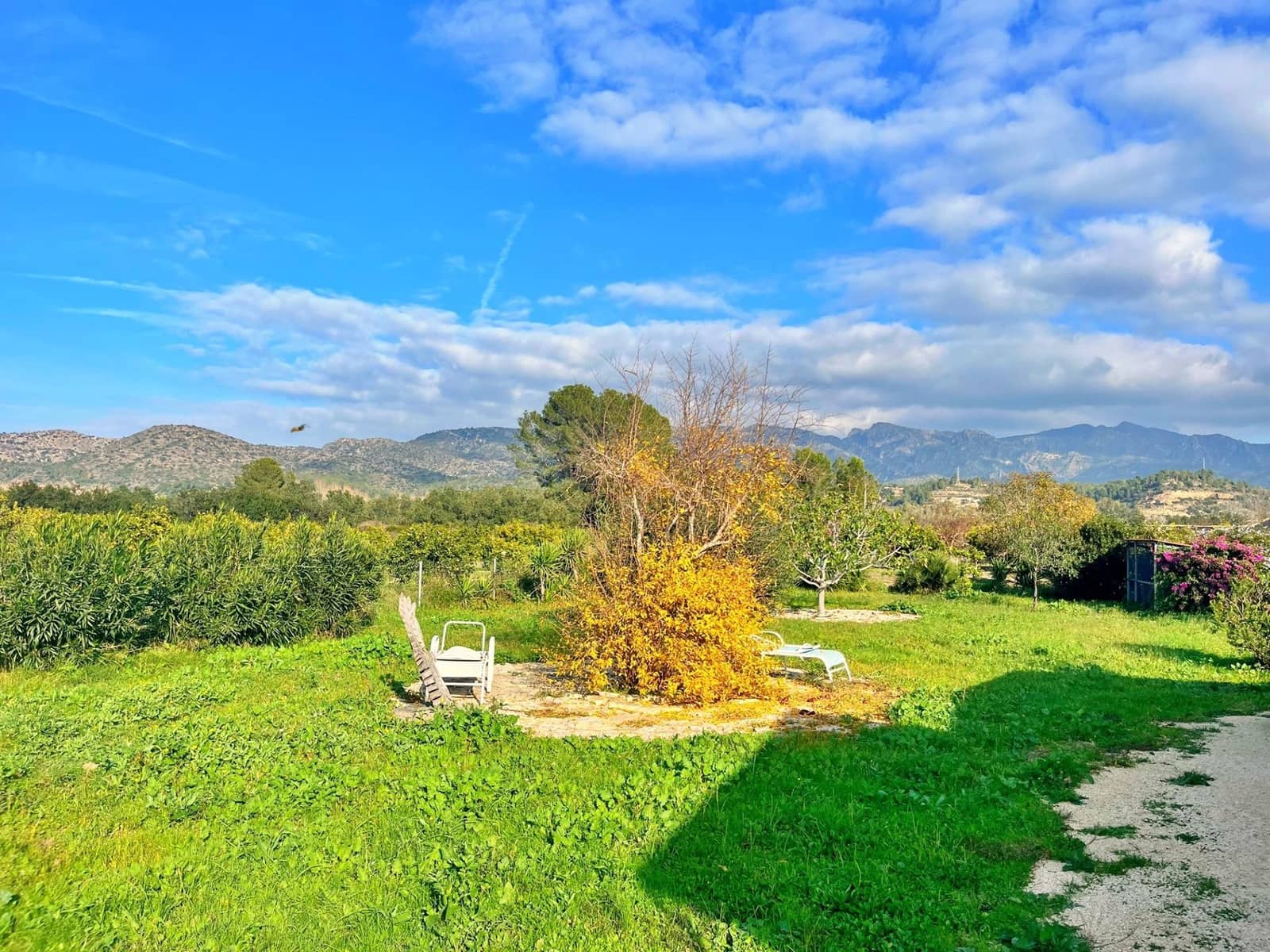1 camera da letto Villa in vendita in Xerta - 115.000 € (Rif: 9843343)