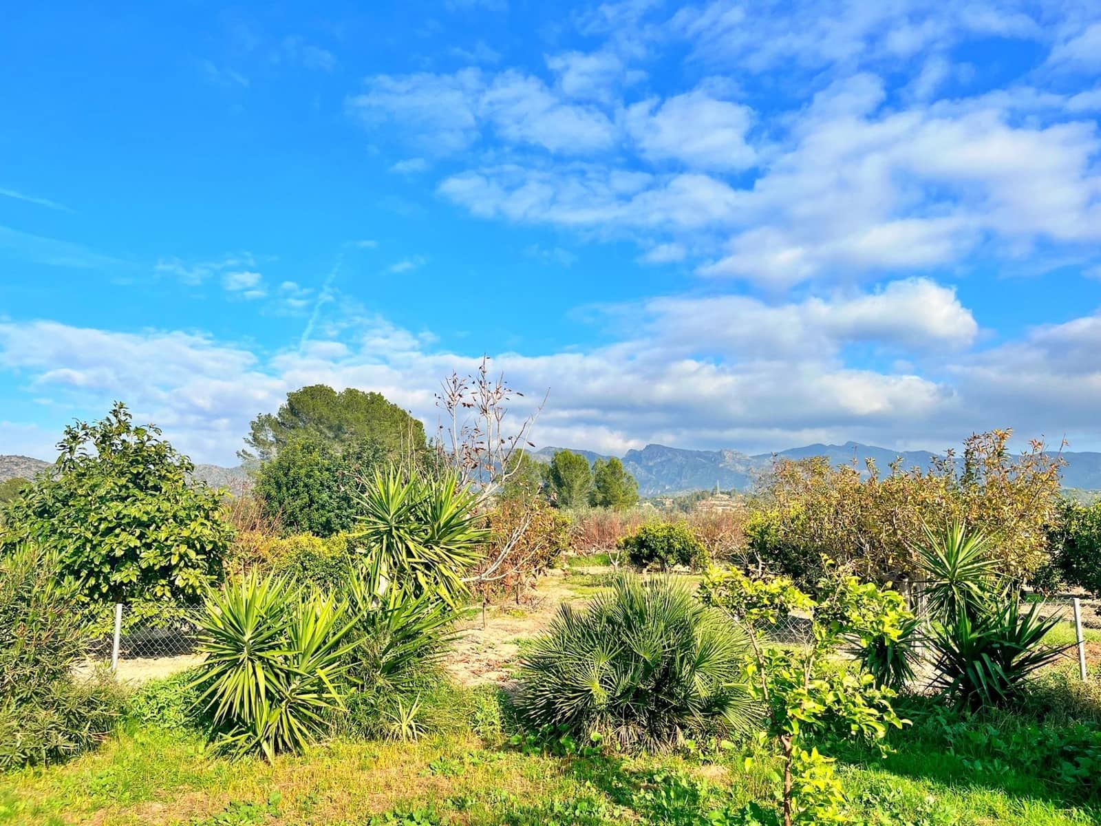 1 camera da letto Villa in vendita in Xerta - 115.000 € (Rif: 9843343)