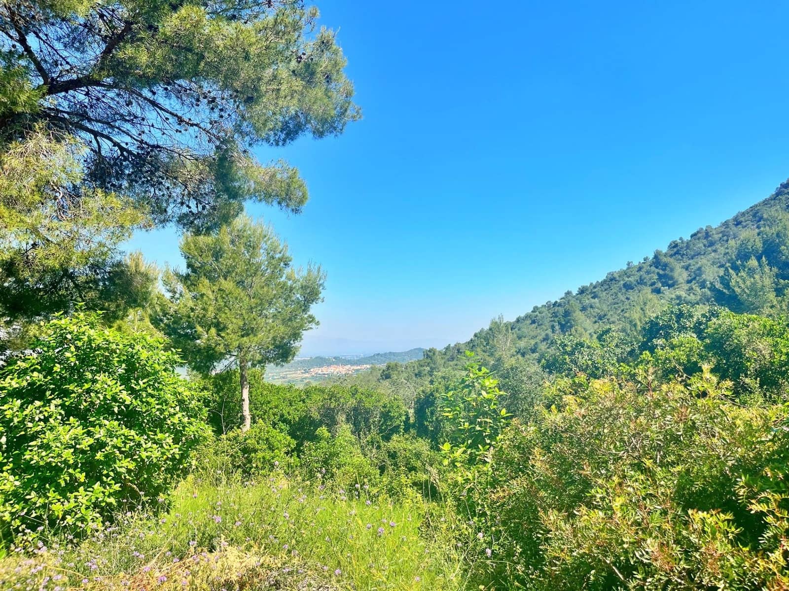 4 bedroom Villa for sale in Freginals - € 229,000 (Ref: 9865134)
