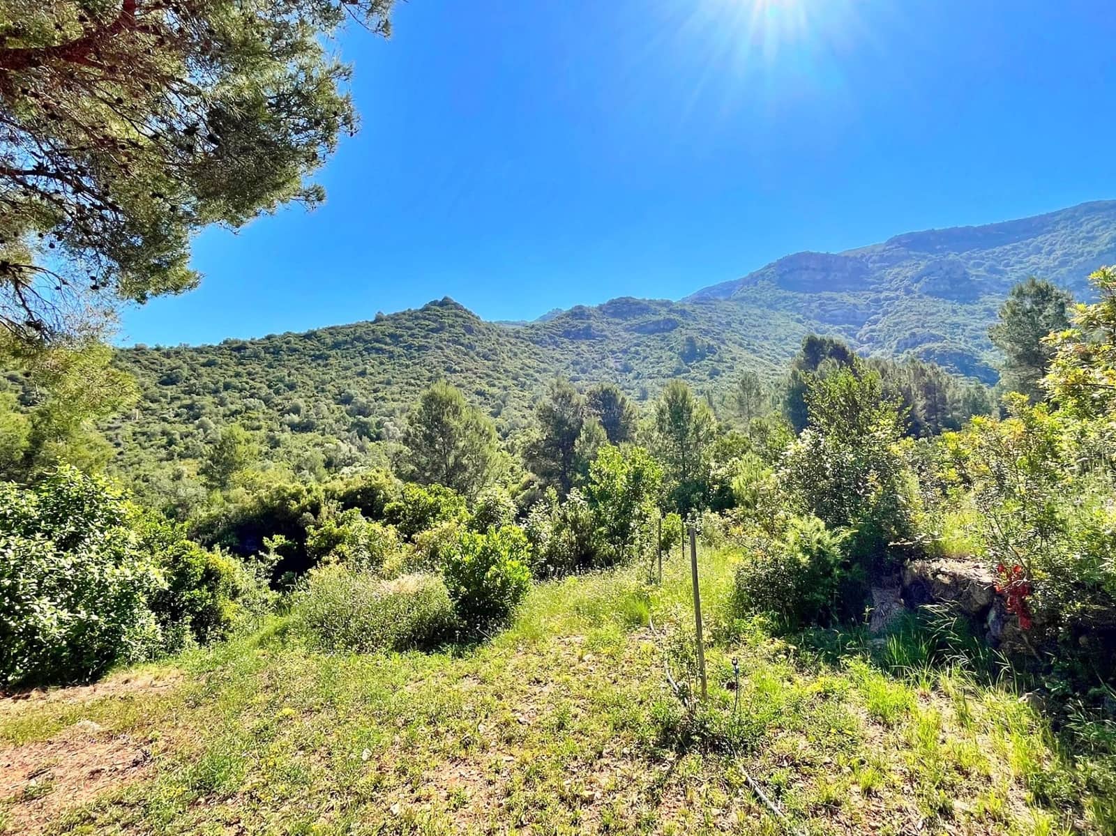 4 bedroom Villa for sale in Freginals - € 229,000 (Ref: 9865134)